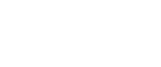 Ace Micro — Ace Mail Zimbra email hosting